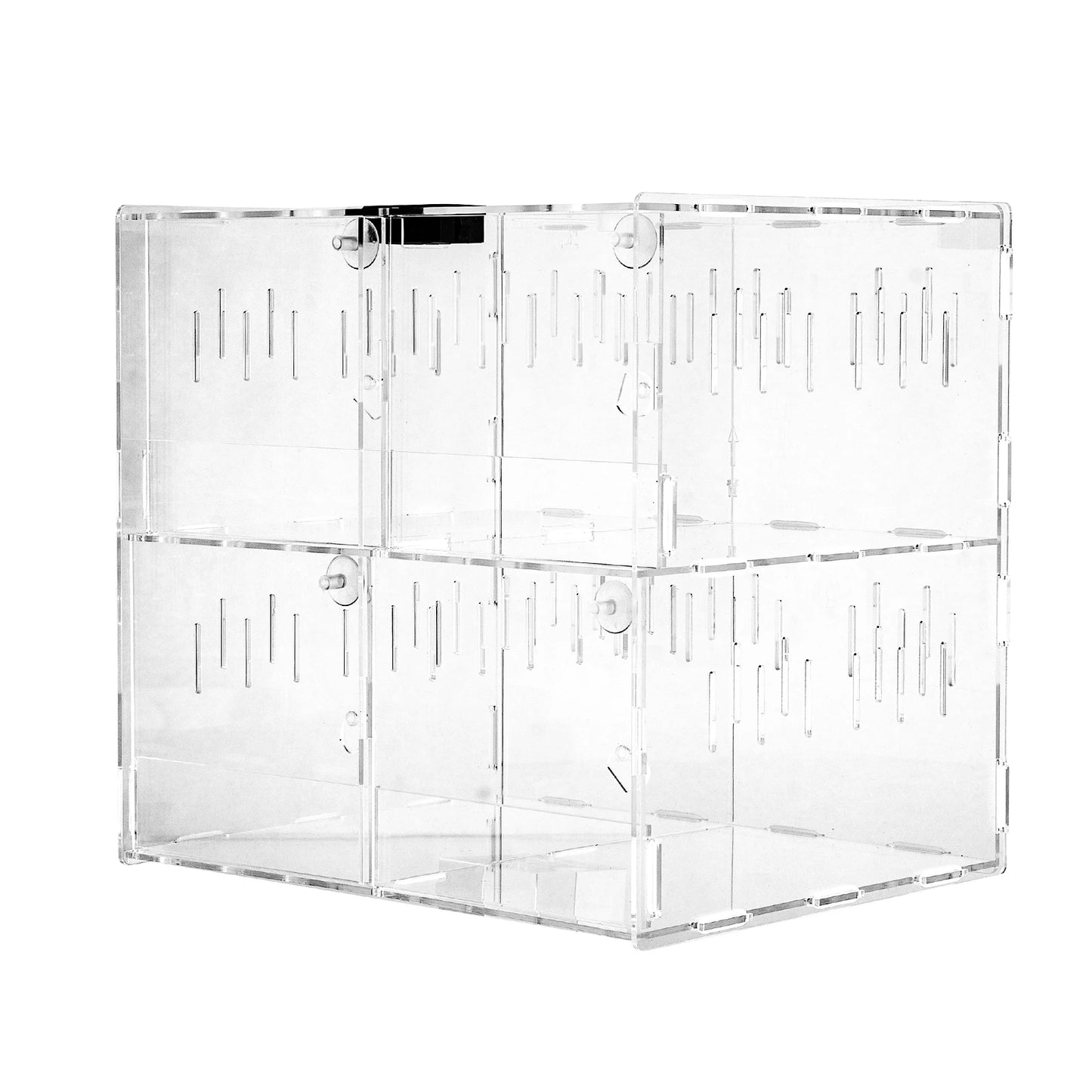 Acrylic Pet Box 4 Grids Reptile Lizard Crawling Insect Breeding Box