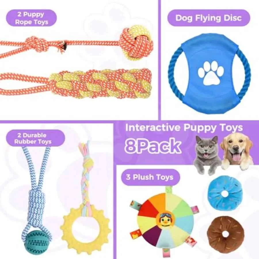 Indoor Puppy Play Gym with 8 Hanging Enrichment Toys – PVC Jungle Gym for Small Dogs