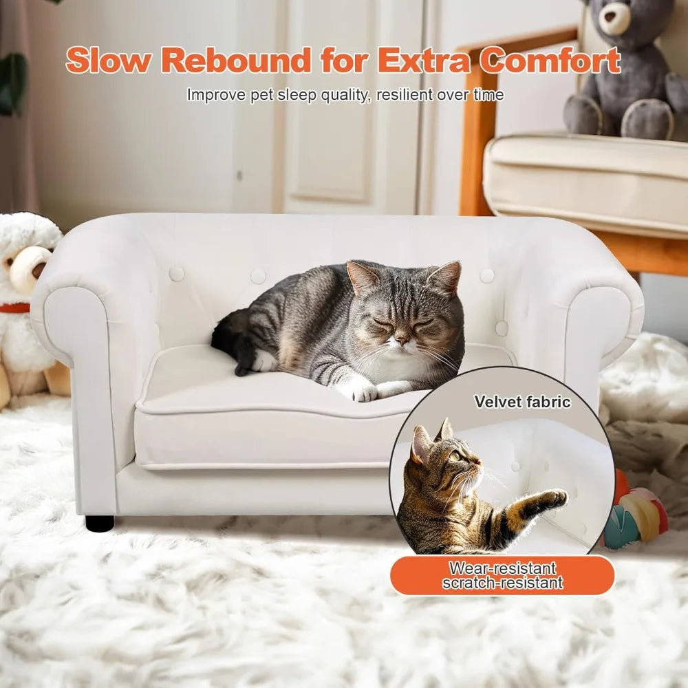 elevated dog bed with cushion for small to medium pets, removable cover and anti-slip base