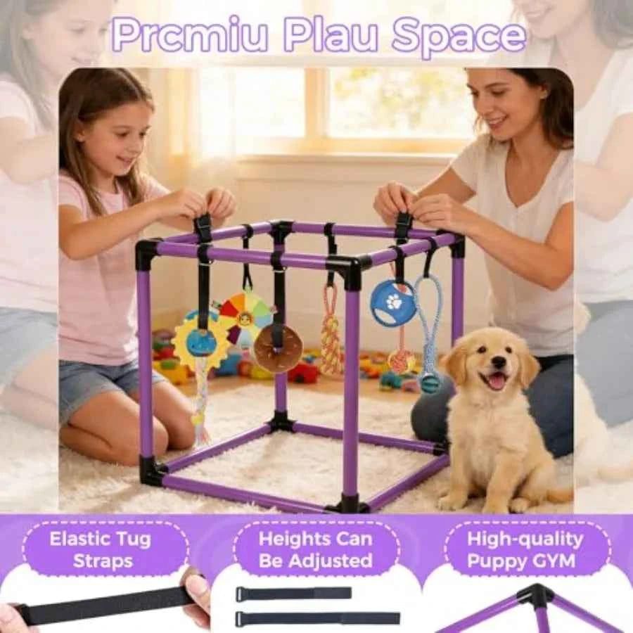Indoor Puppy Play Gym with 8 Hanging Enrichment Toys – PVC Jungle Gym for Small Dogs