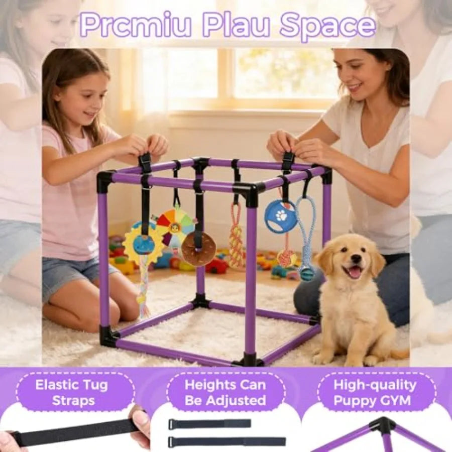 Children playing with a purple puppy gym and a dog sitting next to it.