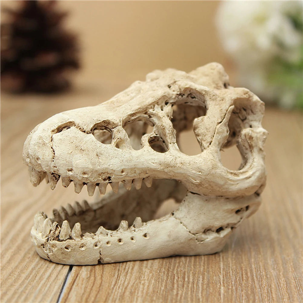Resin Dinosaur Ornaments Decorative Props Mini Crocodile Head Decoration Crafts Arts Artificial Decor for Aquarium Landscaping