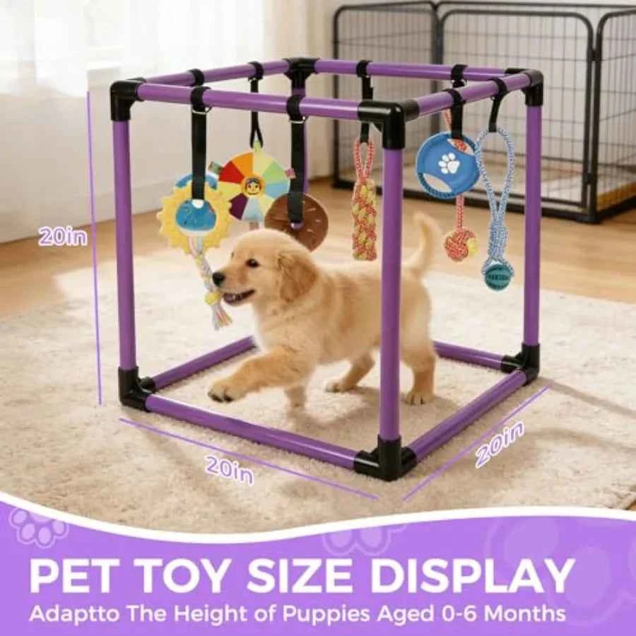 Indoor Puppy Play Gym with 8 Hanging Enrichment Toys – PVC Jungle Gym for Small Dogs