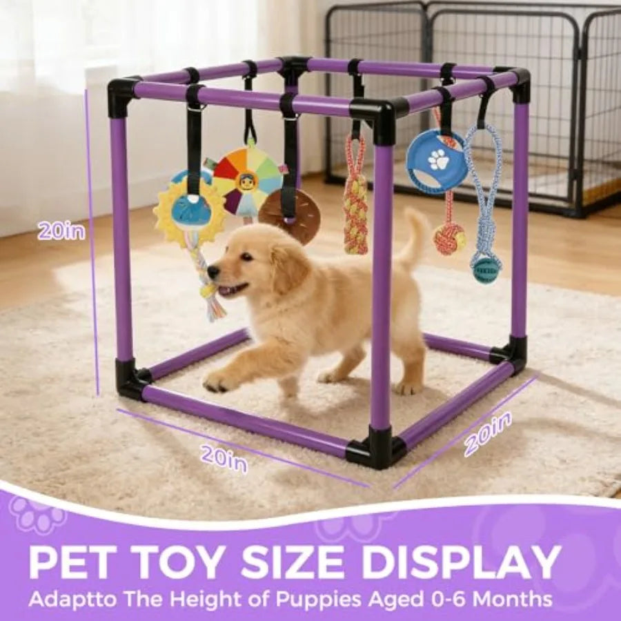 Pet toy size display with a puppy inside a purple playpen, showing various toys.