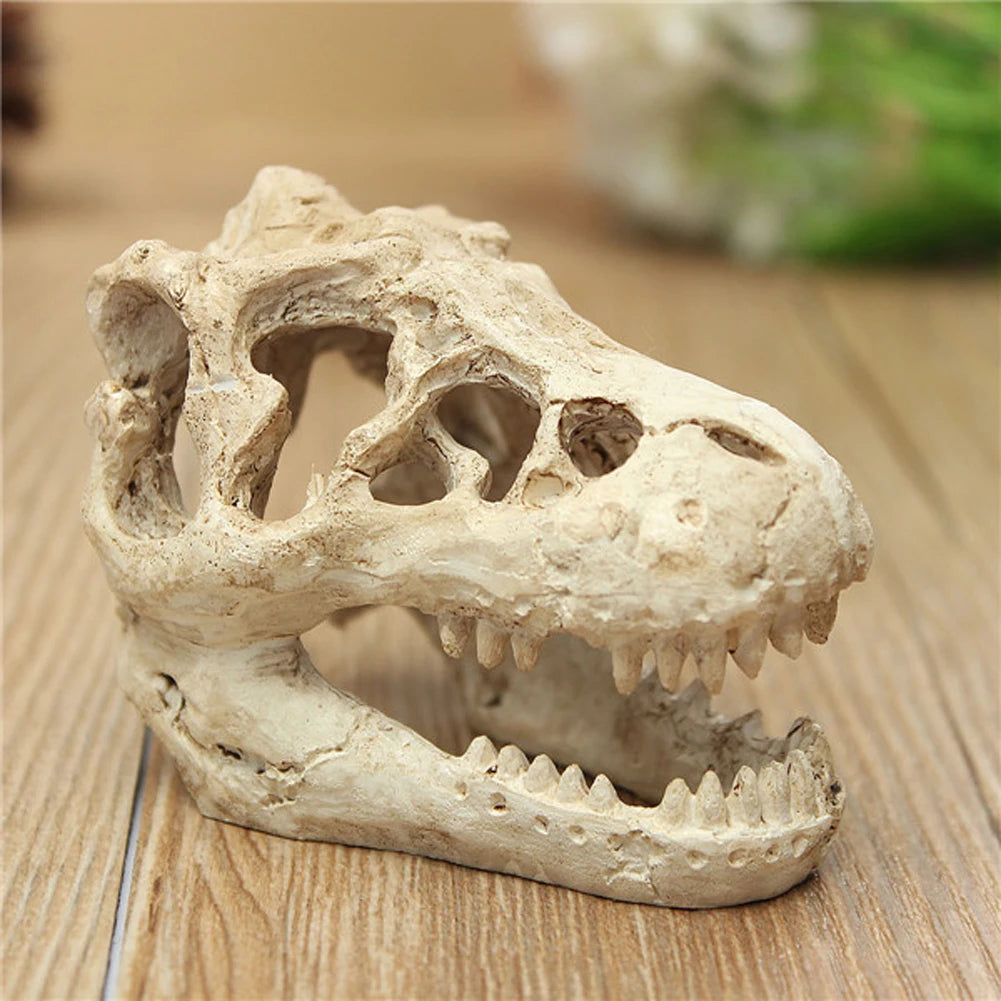 Resin Dinosaur Ornaments Decorative Props Mini Crocodile Head Decoration Crafts Arts Artificial Decor for Aquarium Landscaping