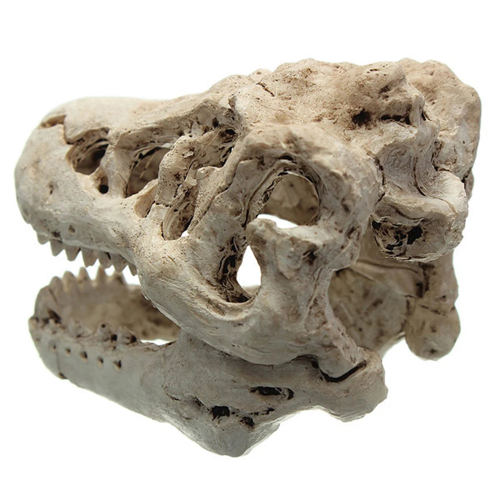 Resin Dinosaur Ornaments Decorative Props Mini Crocodile Head Decoration Crafts Arts Artificial Decor for Aquarium Landscaping