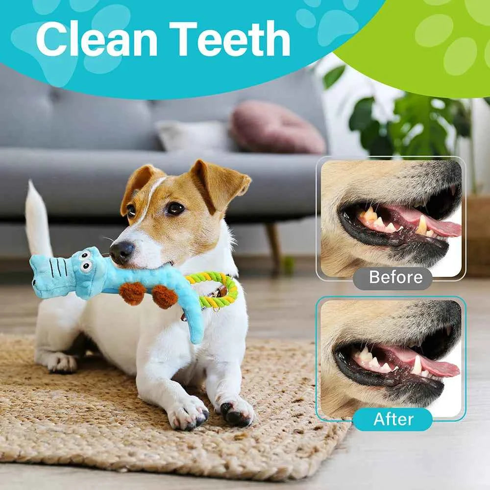 Dog Squeaky Toy 2-Pack - Interactive Plush Tug-of-War & Chew Toys for Small to Medium Dogs