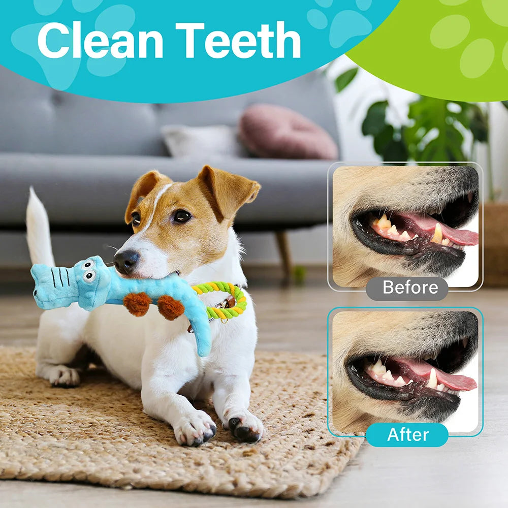 Interactive Dog Squeaky Toy 2-Pack — Plush Tug-of-War & Chew Toy Set for Small & Medium Dogs