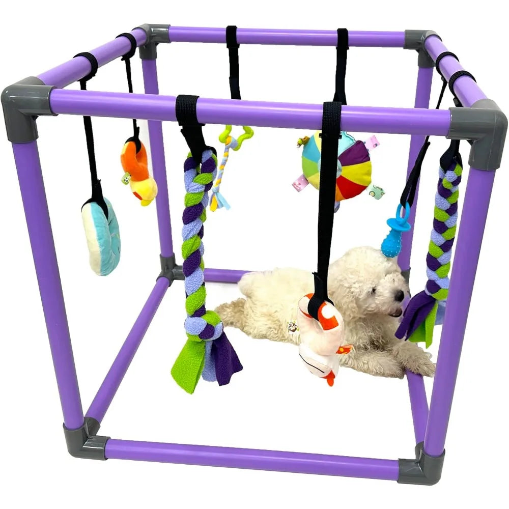 Puppy Play Gym - Interactive Jungle Playground with 8 Hanging Toys for Small Dogs