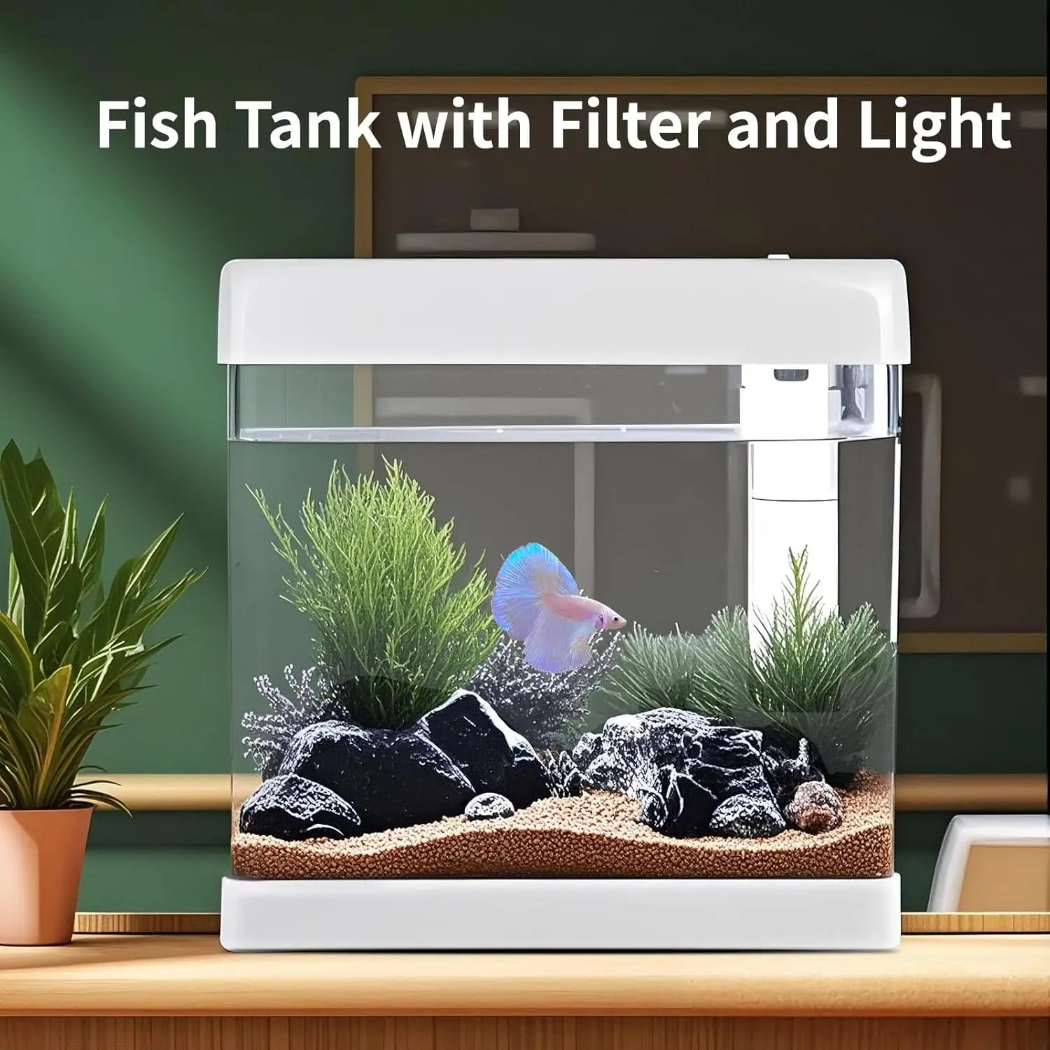 5 Gallon Glass Aquarium Starter Kit – Built-In Filter, LED Light & Stand for Betta Fish