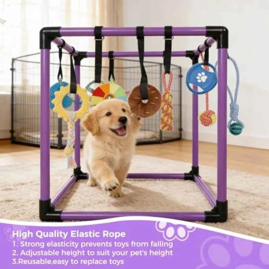Indoor Puppy Play Gym with 8 Hanging Enrichment Toys – PVC Jungle Gym for Small Dogs