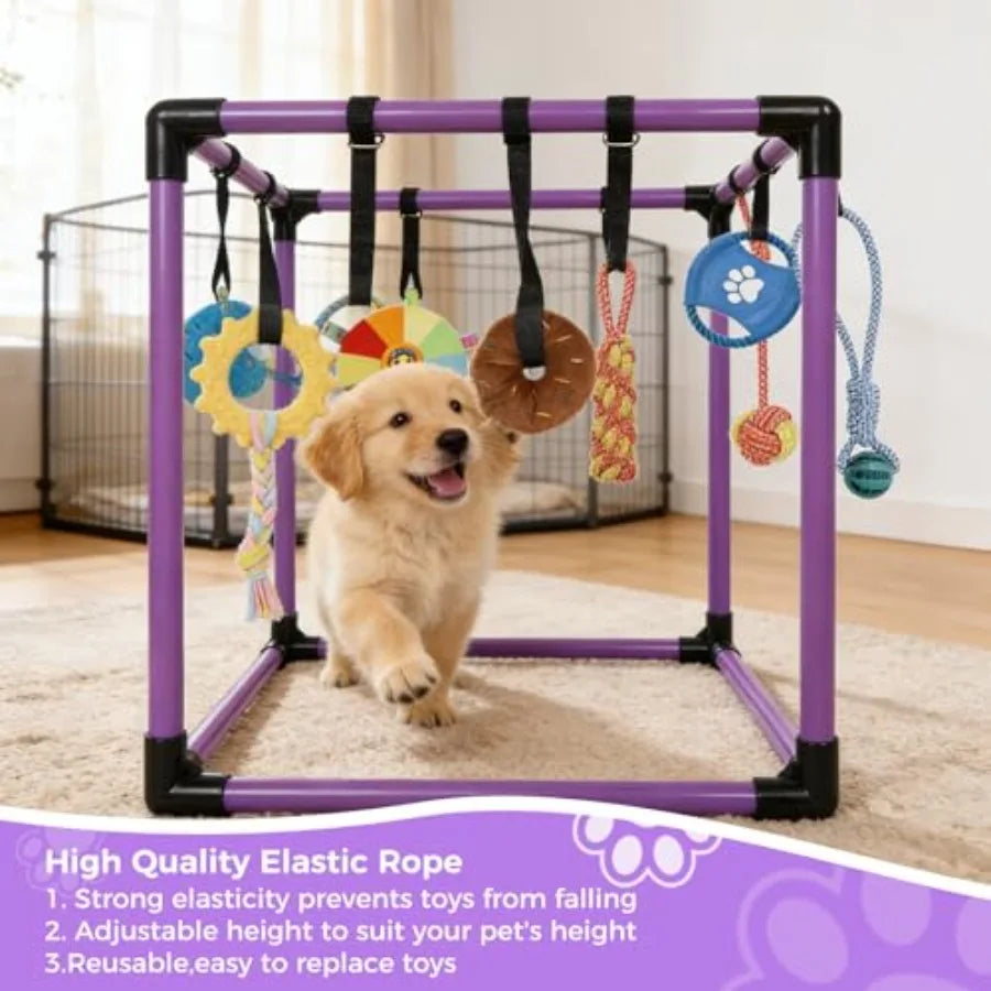 Dog playing with a purple playpen with hanging toys in a home setting