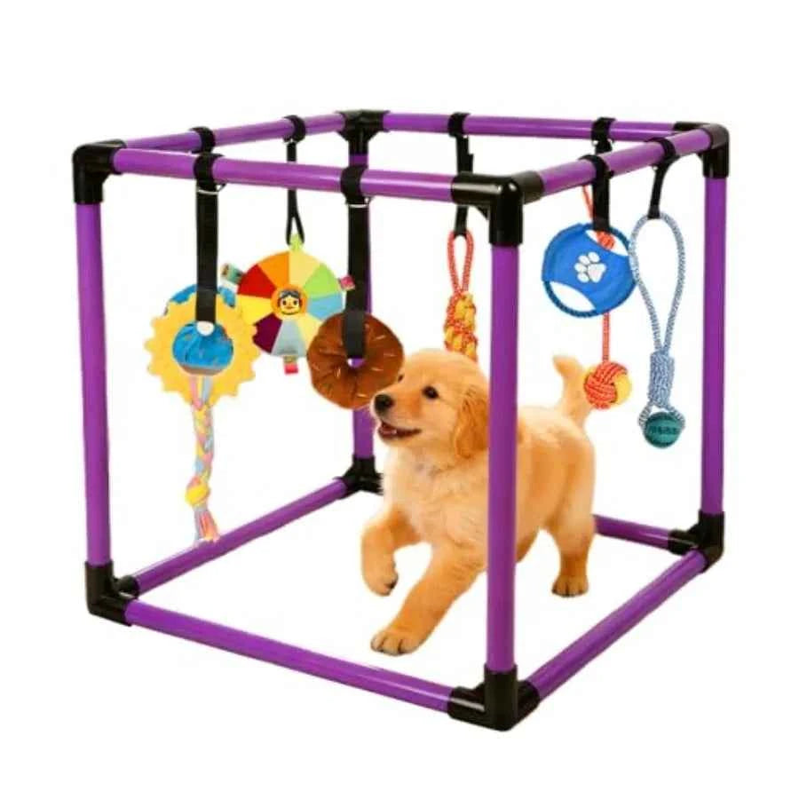 Indoor Puppy Play Gym with 8 Hanging Enrichment Toys – PVC Jungle Gym for Small Dogs