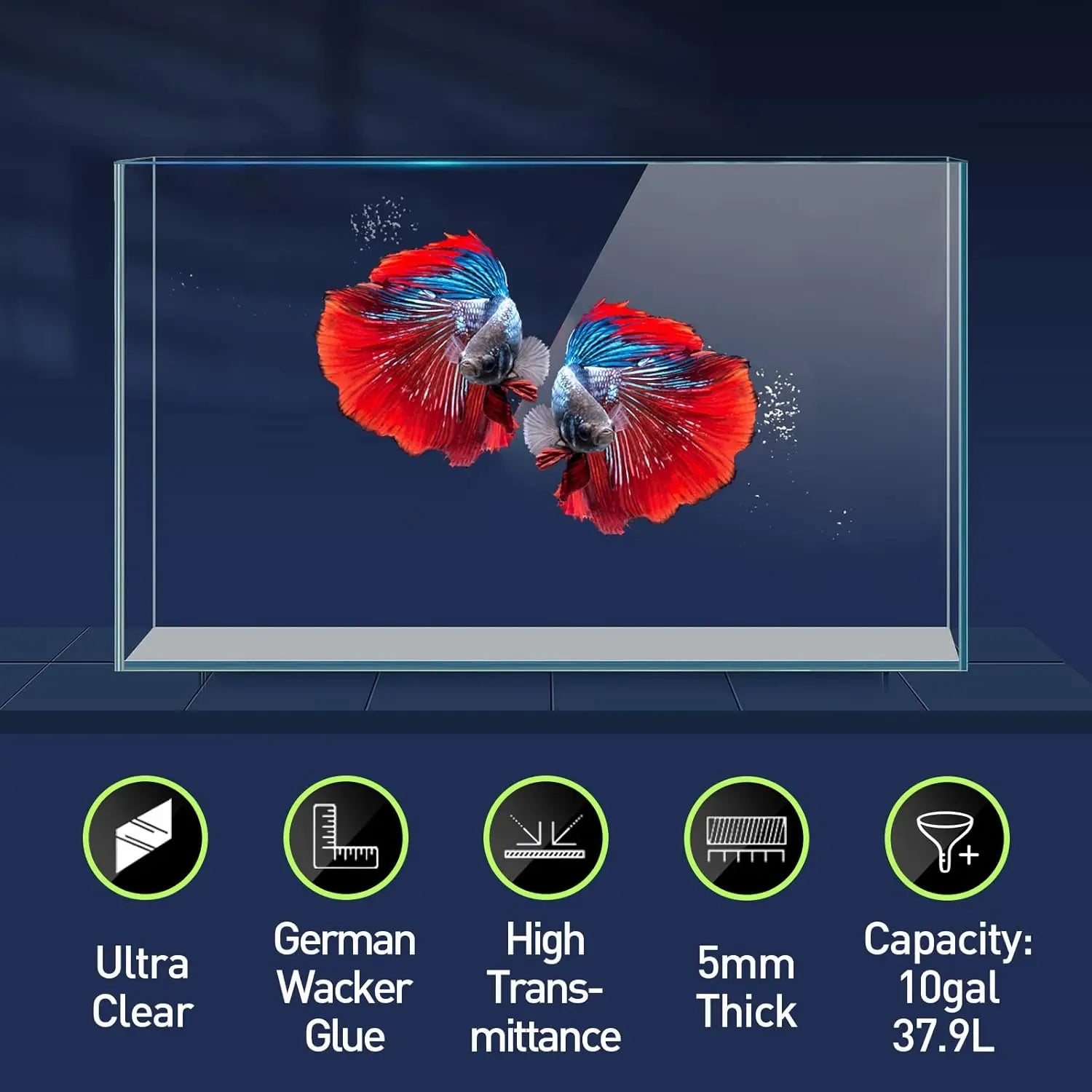Glass aquarium with two betta fish on a dark blue background, featuring product specifications at the bottom.