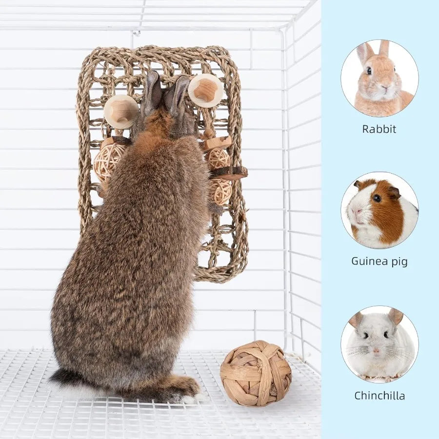 Srass Protector Mat with Toys for Rabbit Bunny Chinchilla Guinea Pigs or Other Rodent Pets 11 X 7.87inch