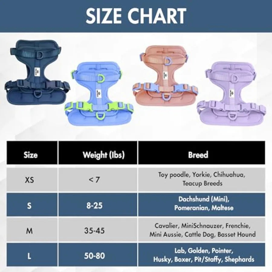 Adjustable Dog Harness Set with Collar and Leash Featuring Waste Bag Holder and Dirty Waste Bag Clip for Small Medium and Large