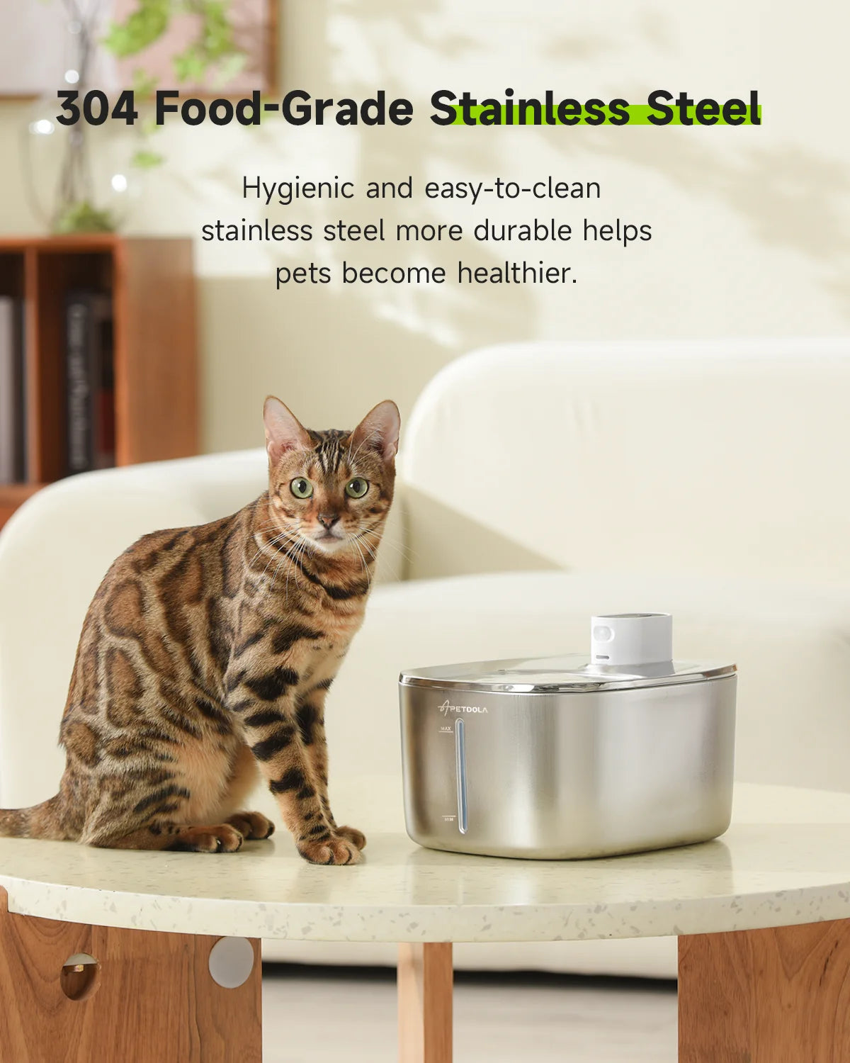 Cat sitting next to a stainless steel pet bowl on a table.